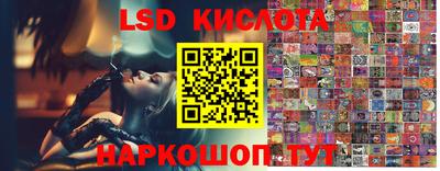 гашик Можга
