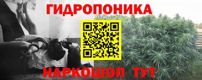 стафф Нальчик