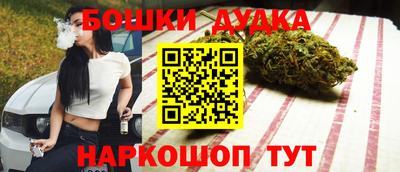 стафф Нальчик