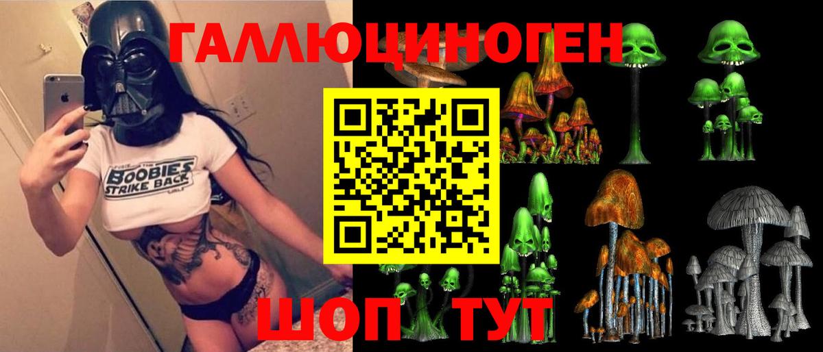 Псилоцибиновые грибы мицелий  Вход с VPN  закладки  Волхов  Галлюциногенные грибы Psilocybe 