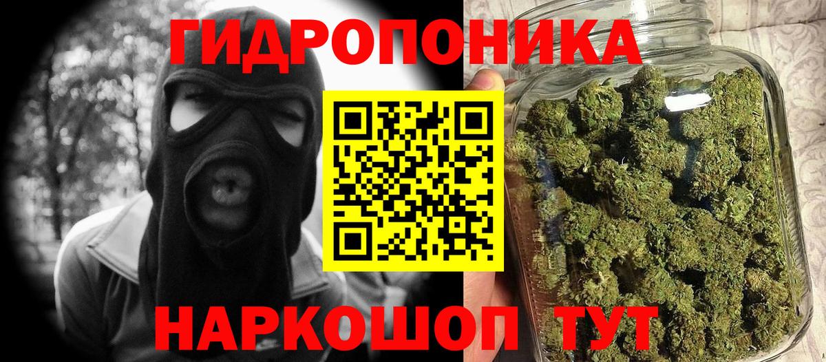 Марихуана Amnesia Волхов