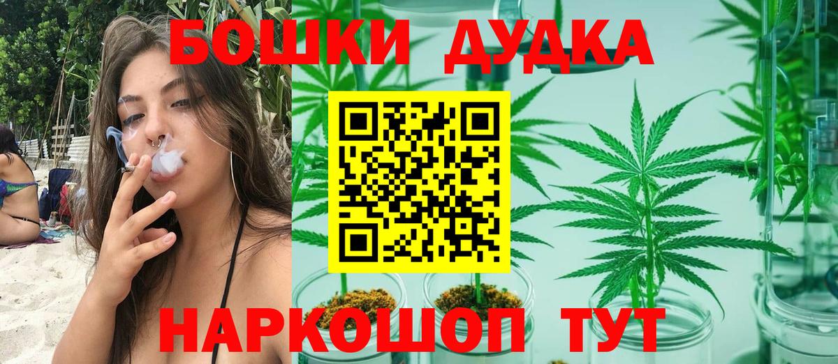 Бошки марихуана Amnesia  Вход с VPN  Волхов  Конопля семена  Марихуана индика  Каннабис план 